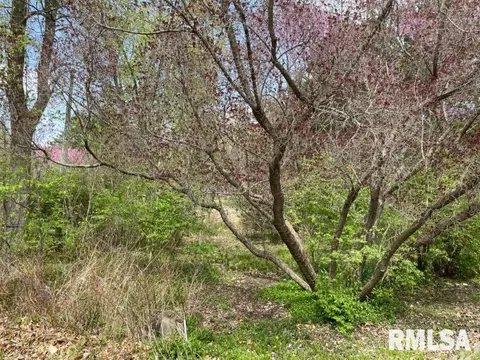 200 N Pear St, Topeka, IL 61567 photo 9
