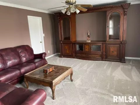 929 S Main St, Canton, IL 61520 photo 12