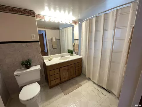 604 W Maple Ave N, Springfield, IL 62702 photo 16