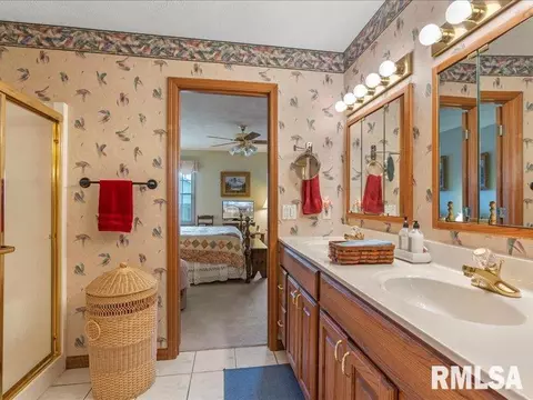 3917 Mapleshade Ct, Springfield, IL 62712 photo 20