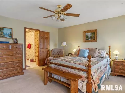 3917 Mapleshade Ct, Springfield, IL 62712 photo 18