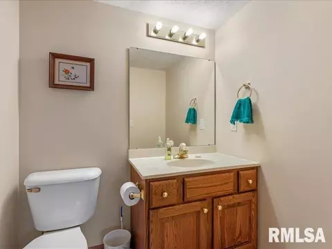 3917 Mapleshade Ct, Springfield, IL 62712 photo 28
