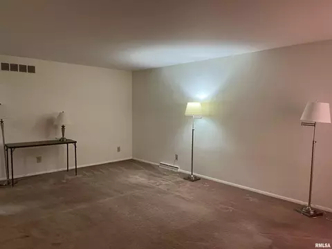 45 Marian Ln, Springfield, IL 62704 photo 10