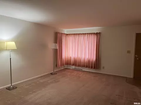 45 Marian Ln, Springfield, IL 62704 photo 9