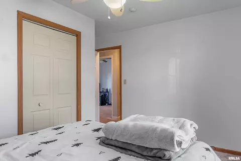 2453 Basil Dr, Springfield, IL 62707 photo 27