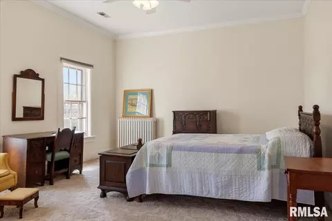 3438 E State Route 29, Springfield, IL 62712 photo 63