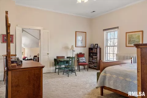 3438 E State Route 29, Springfield, IL 62712 photo 53
