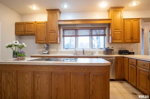 2913 Cider Mill Ln, Springfield, IL 62703 photo 20