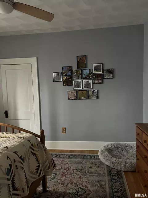 1421 Dial Ct, Springfield, IL 62704 photo 28
