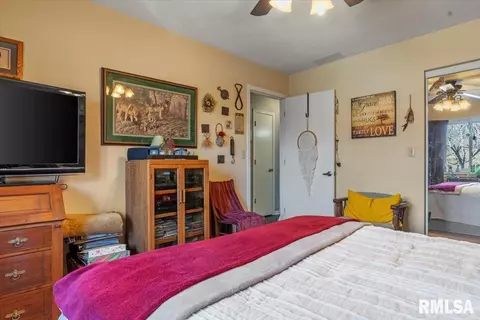 1809 Cog Mill Ct, Springfield, IL 62704 photo 25