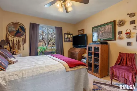 1809 Cog Mill Ct, Springfield, IL 62704 photo 24