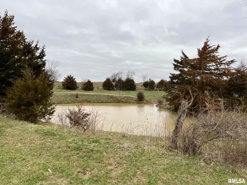 29001 145th St, Canton, MO 63435