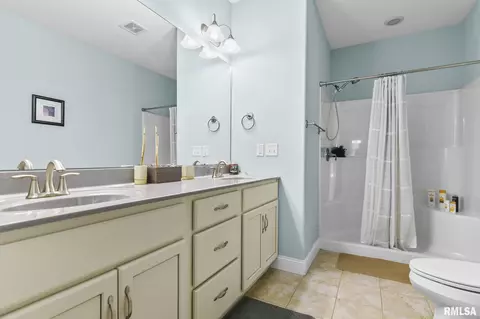 505 Wake Ct, Chatham, IL 62629 photo 29