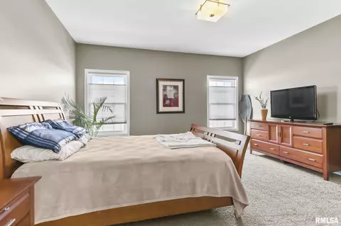 505 Wake Ct, Chatham, IL 62629 photo 26