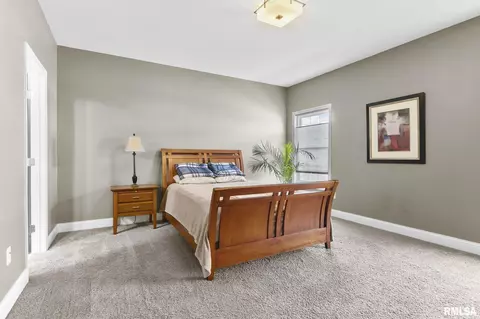 505 Wake Ct, Chatham, IL 62629 photo 27