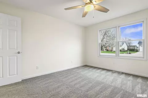 521 Willows Ave, Chatham, IL 62629 photo 33