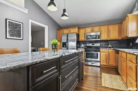 521 Willows Ave, Chatham, IL 62629 photo 15