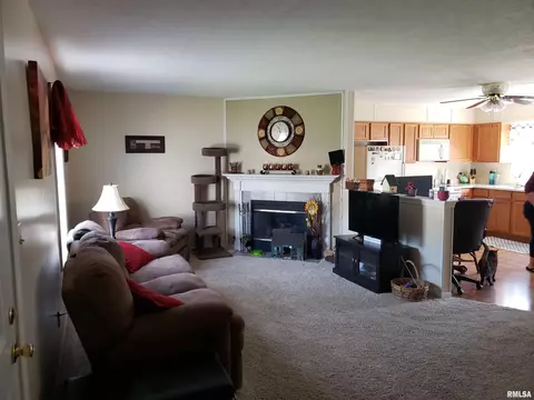 4008 Hoffman Dr, Springfield, IL 62707 photo 3
