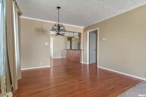 604 S Kickapoo St, Lincoln, IL 62656 photo 13