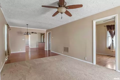 604 S Kickapoo St, Lincoln, IL 62656 photo 9