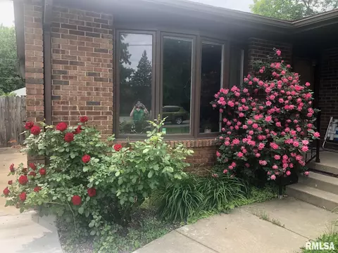 61 Adloff Ln, Springfield, IL 62703 photo 27