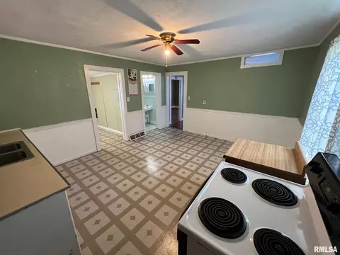 1008 S Cedar St, Delavan, IL 61734 photo 6