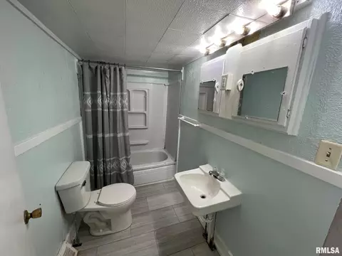 1008 S Cedar St, Delavan, IL 61734 photo 11