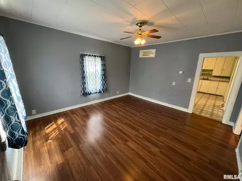 1008 S Cedar St, Delavan, IL 61734 photo 3