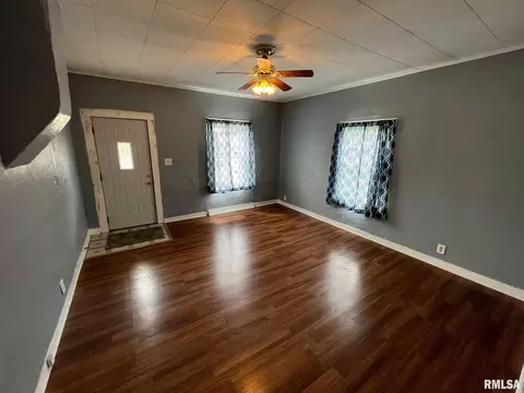 1008 S Cedar St, Delavan, IL 61734 photo 4