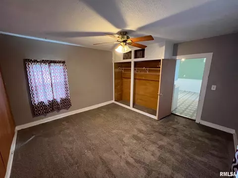 1008 S Cedar St, Delavan, IL 61734 photo 10