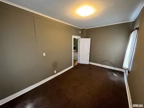 1008 S Cedar St, Delavan, IL 61734 photo 8