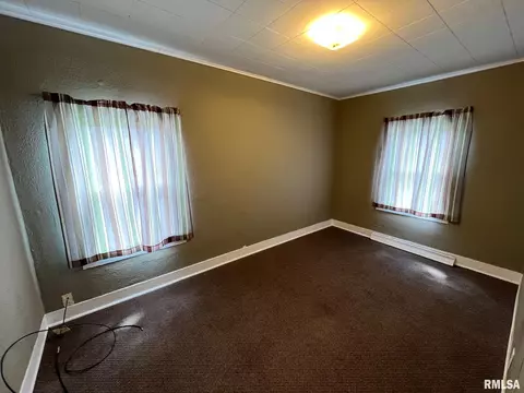 1008 S Cedar St, Delavan, IL 61734 photo 7
