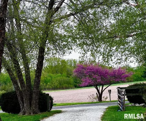 3287 White Timber Rd, Springfield, IL 62712 photo 3