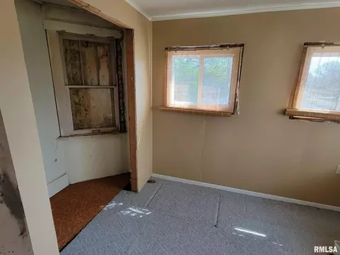 417 Logan St, Emden, IL 62635 photo 30