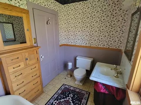 417 Logan St, Emden, IL 62635 photo 22
