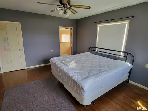 417 Logan St, Emden, IL 62635 photo 29