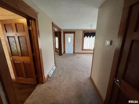 708 S Abba St, Gillespie, IL 62033 photo 17