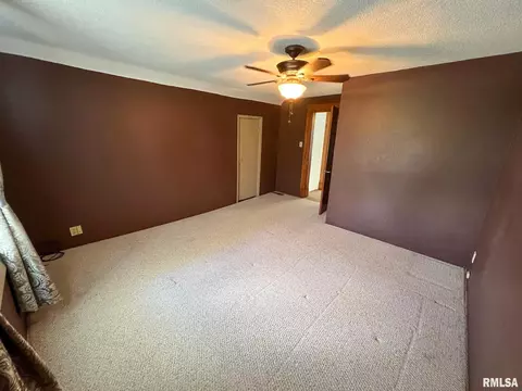 708 S Abba St, Gillespie, IL 62033 photo 28