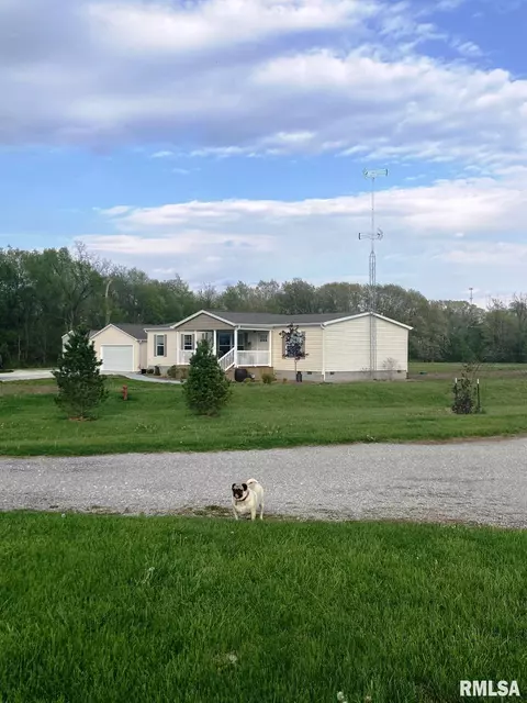31204 Fox Dr, Palmyra, IL 62674