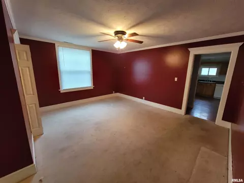 243 E Adams St, Greenview, IL 62642 photo 8