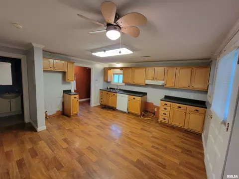243 E Adams St, Greenview, IL 62642 photo 12