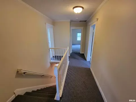 243 E Adams St, Greenview, IL 62642 photo 16