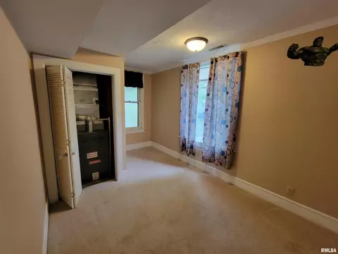 243 E Adams St, Greenview, IL 62642 photo 14