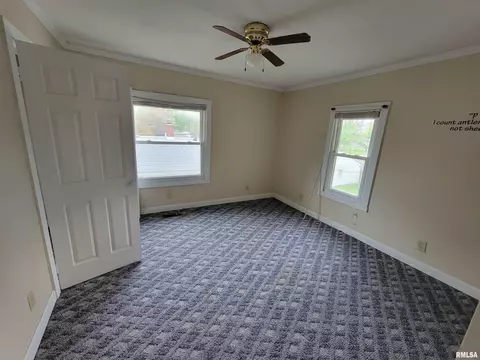 243 E Adams St, Greenview, IL 62642 photo 19