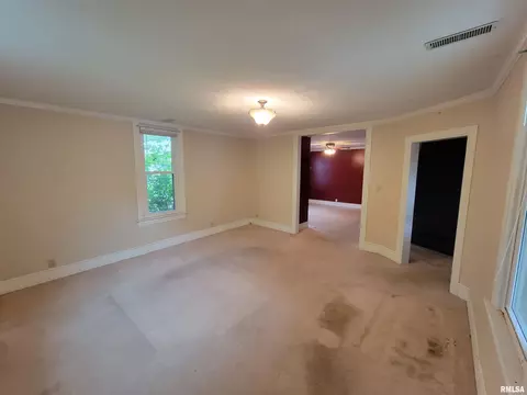 243 E Adams St, Greenview, IL 62642 photo 7