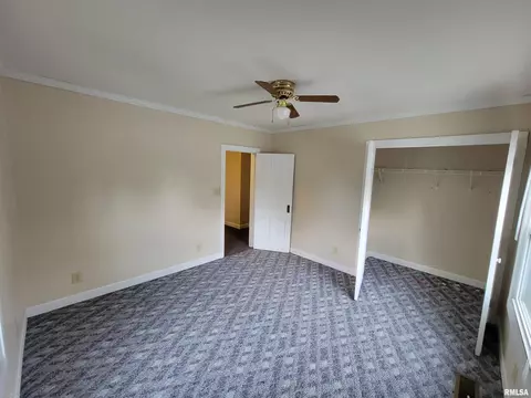 243 E Adams St, Greenview, IL 62642 photo 20