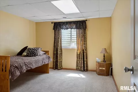 239 Maggie Dr, Springfield, IL 62707 photo 43