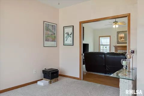 239 Maggie Dr, Springfield, IL 62707 photo 22