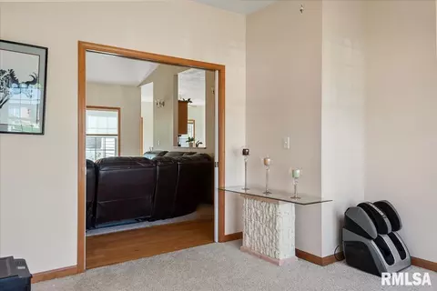239 Maggie Dr, Springfield, IL 62707 photo 23