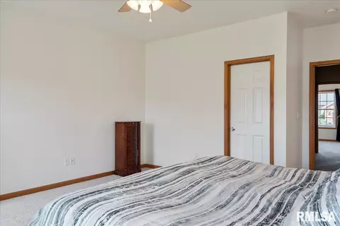 239 Maggie Dr, Springfield, IL 62707 photo 28